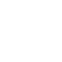 neissan